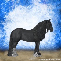 Horse Color:Black Sabino Rabicano