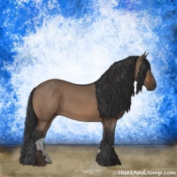 Horse Color:Brown Dun Sabino 