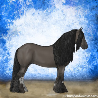 Horse Color:Gray Grullo Sabino Rabicano