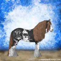 Horse Color:Gray Liver Chestnut Sabino 