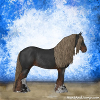 Horse Color:Gray Liver Chestnut Sabino Rabicano 