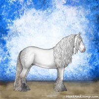 Horse Color:Gray Liver Chestnut Sabino Rabicano