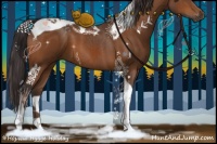 Horse Color:Buckskin Tobiano 