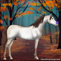 Horse Color:Chocolate Classic Champagne Dun Frame 