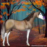 Horse Color:Liver Red Dun Splash 