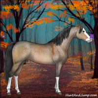 Horse Color:Brown Dun Splash 