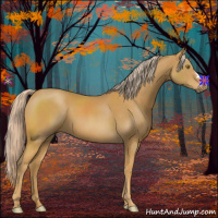 Horse Color:Palomino 