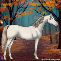 Horse Color:Smoky Creme Roan Dun 