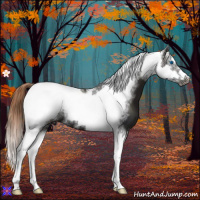 Horse Color:Liver Chestnut Tobiano Frame