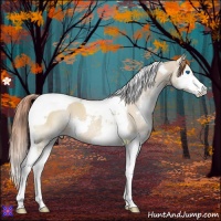 Horse Color:Red Dun Splash Tobiano Appaloosa 