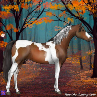 Horse Color:Buckskin Tobiano 