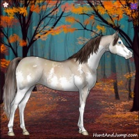 Horse Color:White Spotted Bay Dun Splash Varnish 