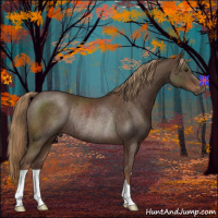 Horse Color:Liver Chestnut Rabicano 