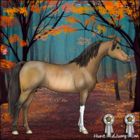 Horse Color:Buckskin Rabicano 