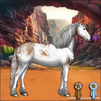 Horse Color:White Spotted Silver Bay 