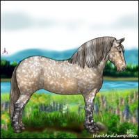 Horse Color:Buckskin Snowflake Varnish