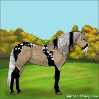 Horse Color:Silver Smoky Black Splash Tobiano 
