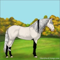 Horse Color:Silver Smoky Creme Dun Tobiano 
