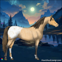 Horse Color:Buckskin Roan Blanket 