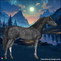 Horse Color:Black Rabicano