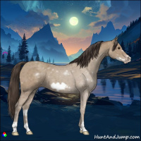 Horse Color:Classic Champagne Frame 