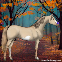 Horse Color:Red Dun Frame 