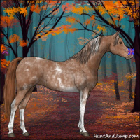 Horse Color:Chestnut Tobiano Rabicano 