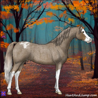Horse Color:Chocolate Palomino Roan Splash Varnish 