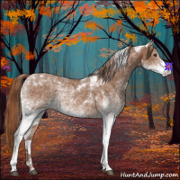 Horse Color:White Spotted Chestnut Tobiano