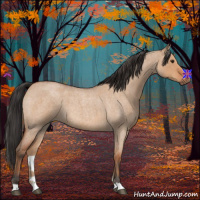 Horse Color:Bay Roan Dun 