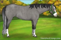 Horse Color:Grullo Roan Splash 