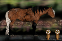 Horse Color:Void Silver Buckskin Tobiano