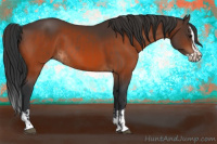 Horse Color:Bay  and Bay Splash 