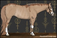 Horse Color:Red Dun Sabino Rabicano
