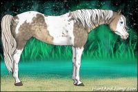 Horse Color:Silver Smoky Grullo Splash Tobiano Appaloosa 