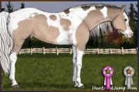 Horse Color:Silver Brown Dun Splash Tobiano Appaloosa