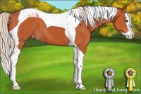 Horse Color:Silver Brown Splash Tobiano Varnish 