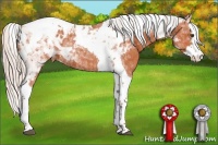 Horse Color:Silver Brown Splash Tobiano Appaloosa 
