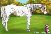Horse Color:Silver Smoky Black Splash Tobiano Appaloosa 