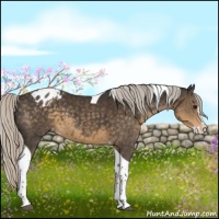 Horse Color:Silver Smoky Black Splash Tobiano Appaloosa 