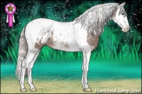 Horse Color:Silver Black Splash Tobiano Appaloosa