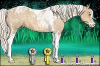 Horse Color:Silver Classic Cream Champagne Sabino Splash Tobiano Appaloosa 