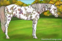 Horse Color:Nacre Silver Black Tobiano Leopard