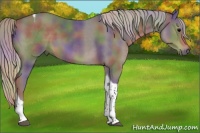 Horse Color:Nacre Silver Black Tobiano