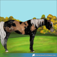 Horse Color:Gray Void Silver Classic Champagne Splash Tobiano
