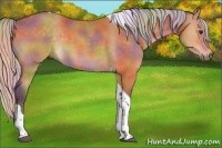 Horse Color:Nacre Silver Buckskin Tobiano 
