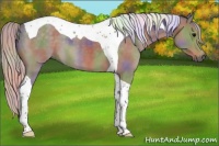 Horse Color:Nacre Silver Black Tobiano 