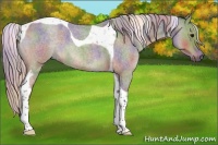Horse Color:Nacre Silver Grullo Roan Tobiano 