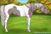 Horse Color:Nacre Silver Black Tobiano 