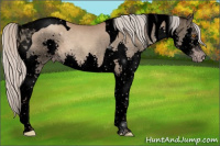 Horse Color:Gray Void Silver Classic Champagne Splash Tobiano 